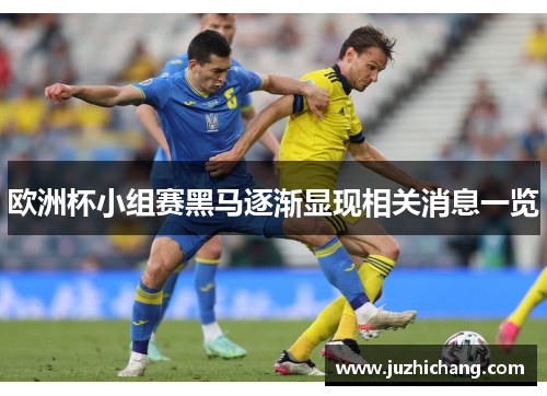 欧洲杯小组赛黑马逐渐显现相关消息一览