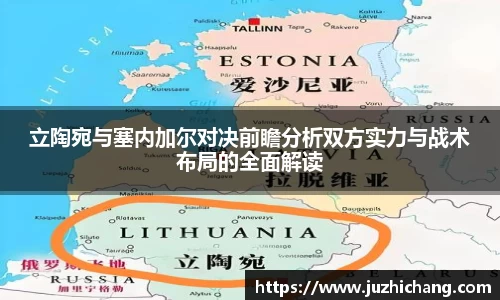 立陶宛与塞内加尔对决前瞻分析双方实力与战术布局的全面解读